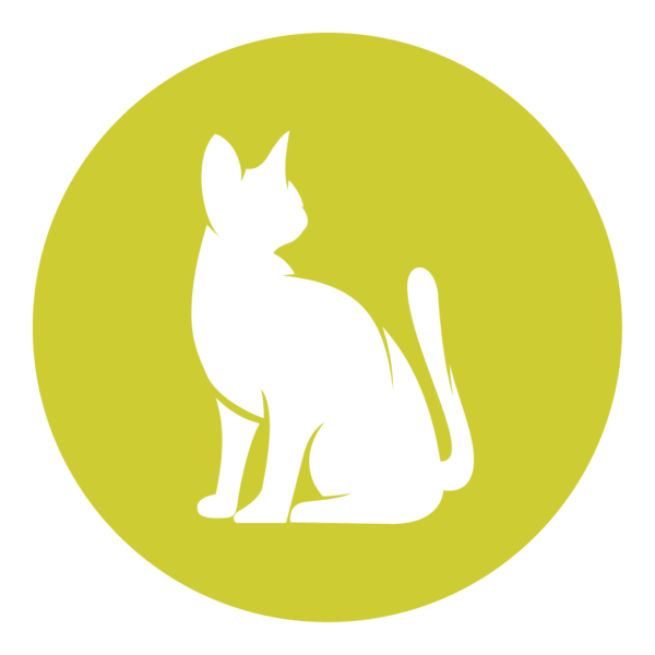 icon-image